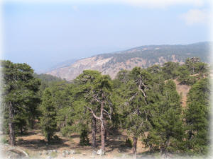 Troodos Mountains