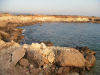 View of the Coast